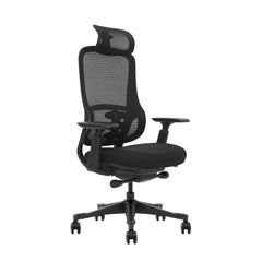 The Everything Ergonomic Office Chair