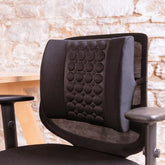 Putnams Massage Back Support Cushion