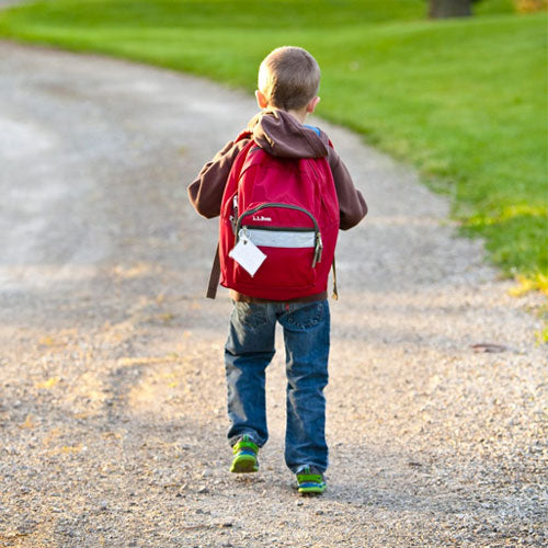 Risk of Child Back Pain From Backpacks