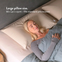 Putnams Graphite Latex Pillow