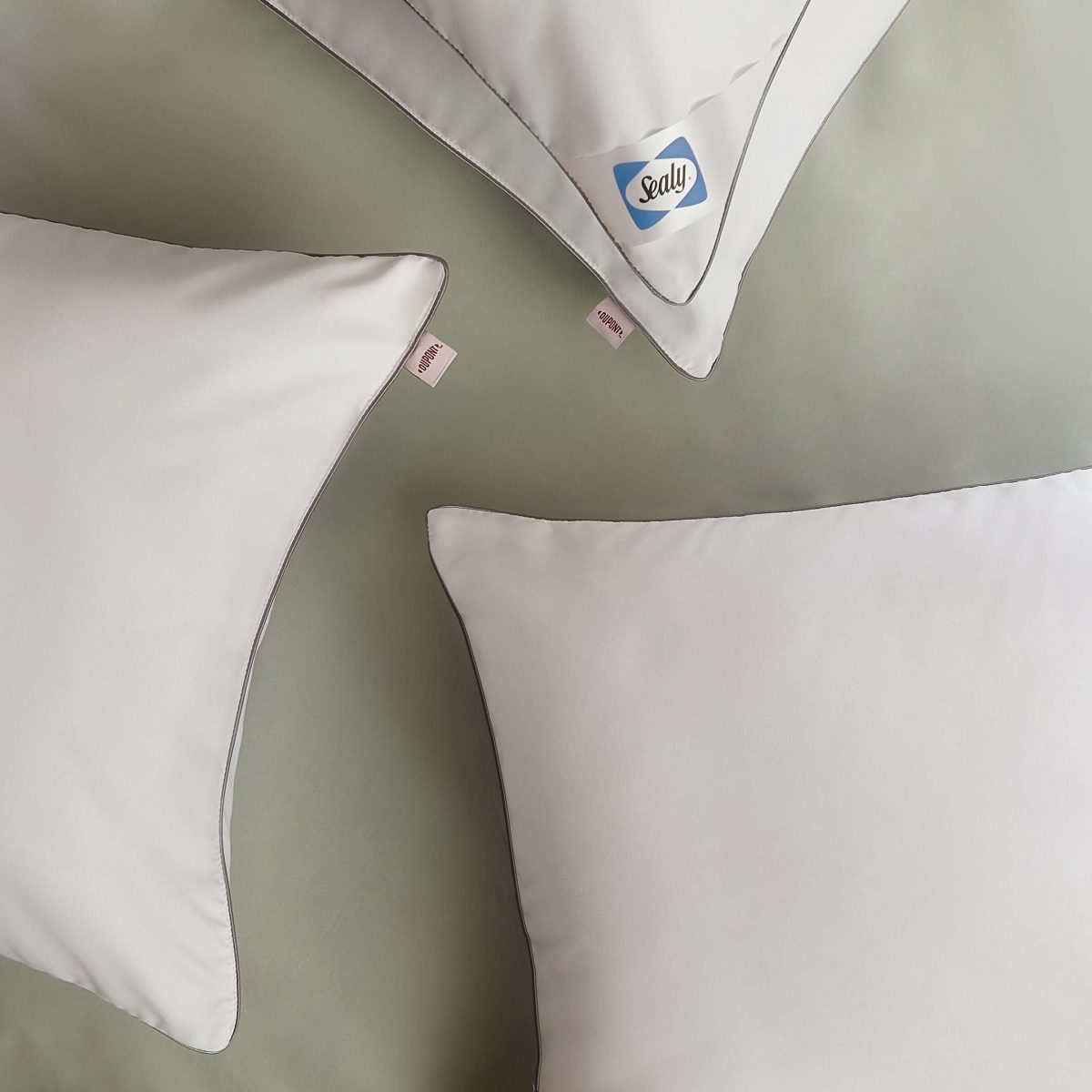 Sealy Anti-Allergy Pillows