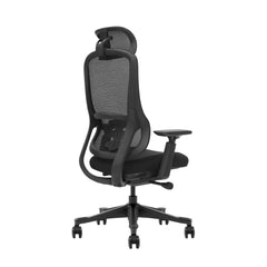 The Everything Ergonomic Office Chair
