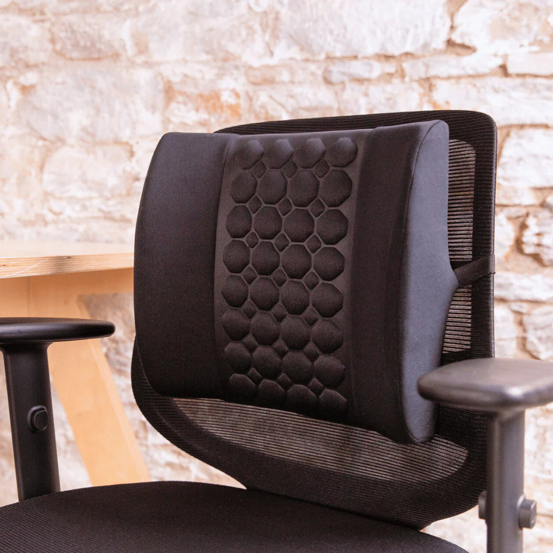 Putnams Massage Back Support Cushion