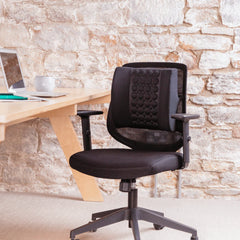 Putnams Massage Back Support Cushion