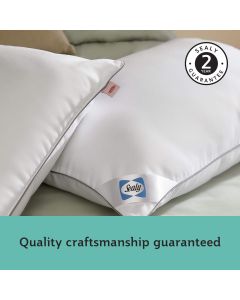 Sealy Anti-Allergy Pillows