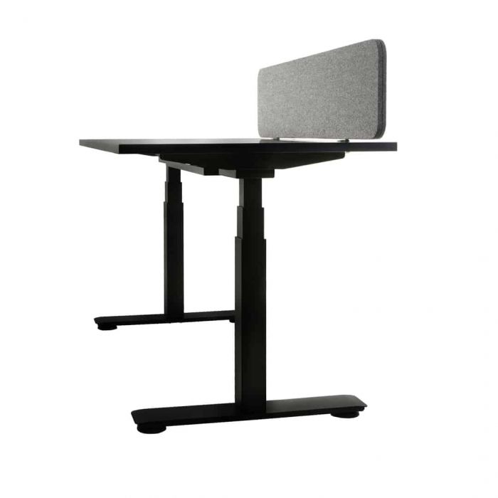 sit and stand desks